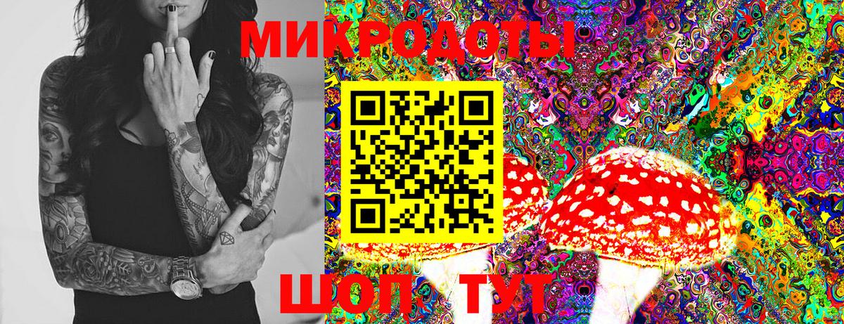 Узловая  Галлюциногенные грибы ЛСД  Псилоцибиновые грибы мухоморы  сколько стоит  Вход с VPN 